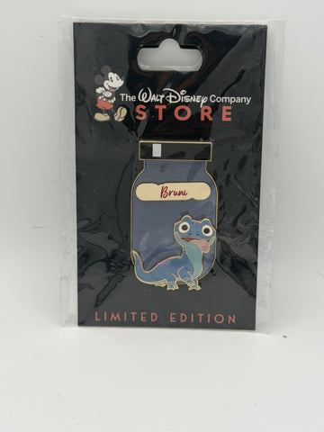 DEC D23 Shades of Magic Paint Jar Bruni Frozen LE Pin