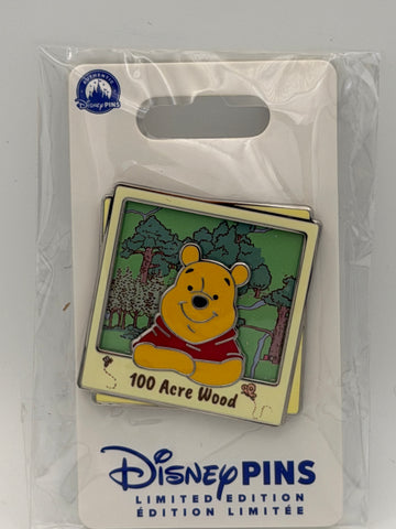 Winnie the Pooh Hundred Acre Wood Disney Destinations Limited Edition Pin